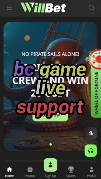 BC Game Live Support - 24/7 Help-vz72fvrf.com