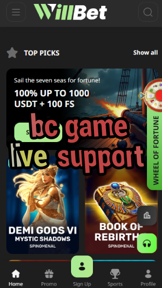 BC Game Live Support - 24/7 Help-vz72fvrf.com