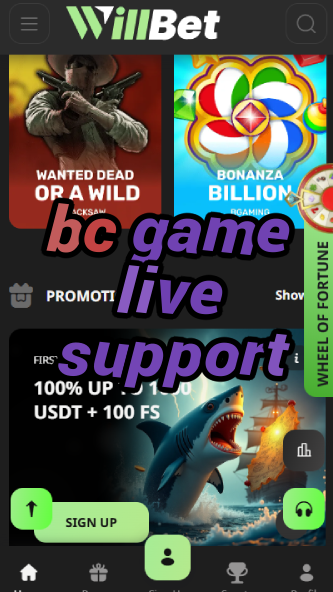 BC Game Live Support - 24/7 Help-vz72fvrf.com