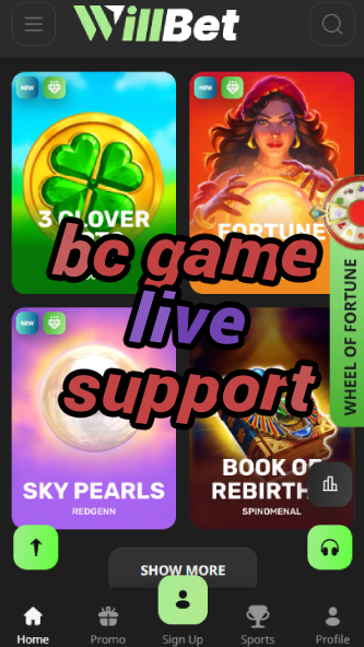 BC Game Live Support - 24/7 Help-vz72fvrf.com